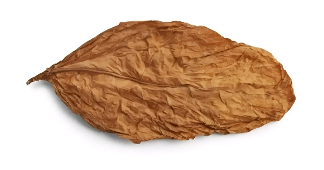 What is Grabba Leaf?